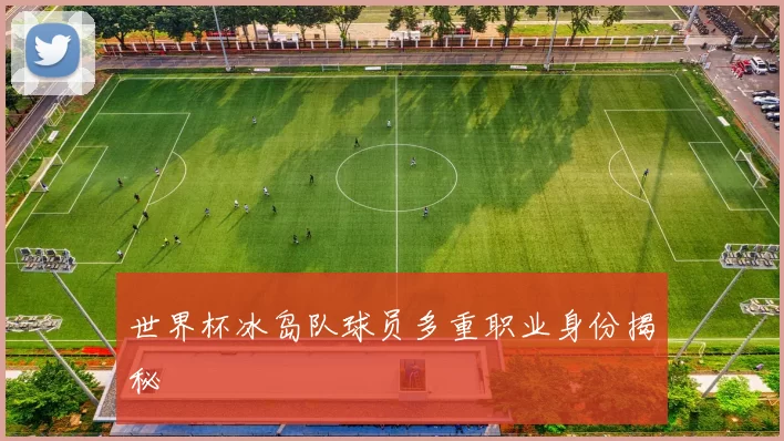 世界杯冰岛队球员多重职业身份揭秘