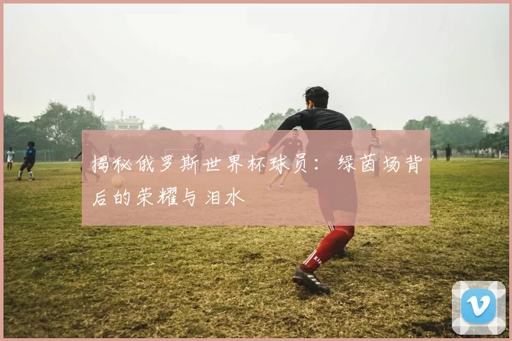 揭秘俄罗斯世界杯球员:绿茵场背后的荣耀与泪水