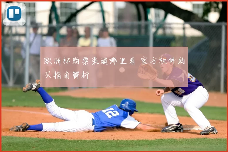欧洲杯购票渠道哪里看 官方软件购买指南解析