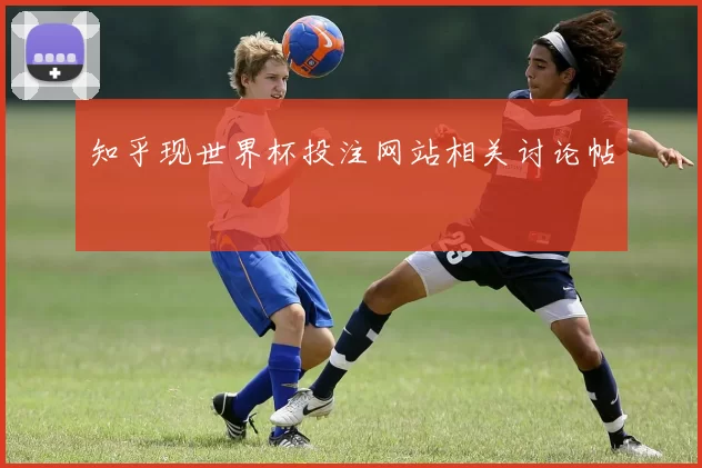 知乎现世界杯投注网站相关讨论帖
