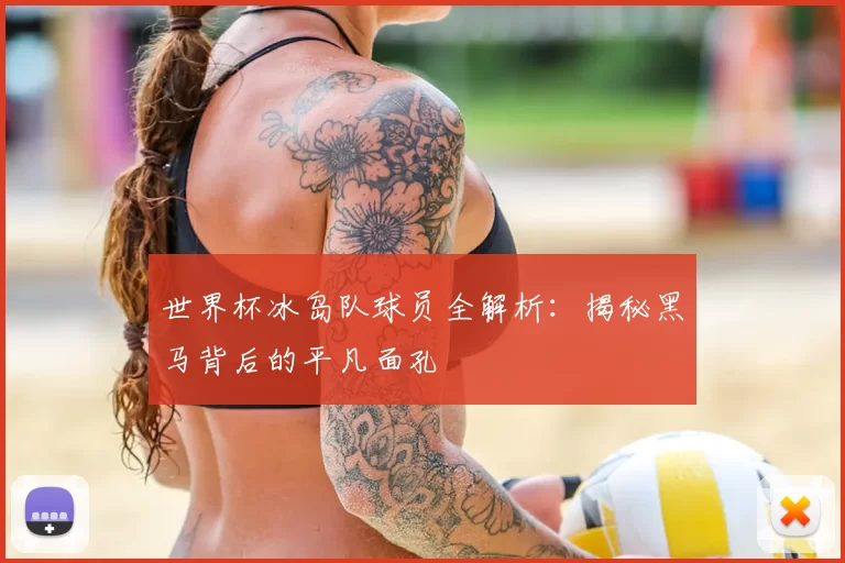世界杯冰岛队球员全解析:揭秘黑马背后的平凡面孔