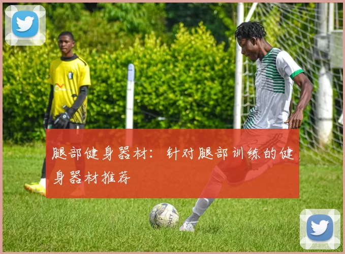 腿部健身器材:针对腿部训练的健身器材推荐
