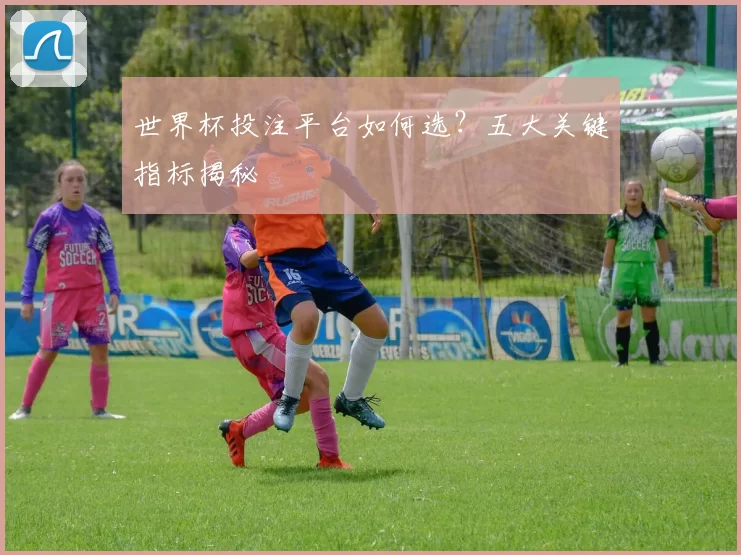 世界杯投注平台如何选?五大关键指标揭秘