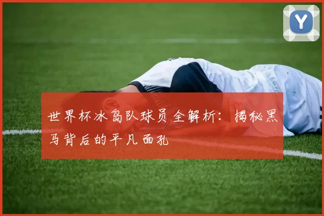 世界杯冰岛队球员全解析：揭秘黑马背后的平凡面孔