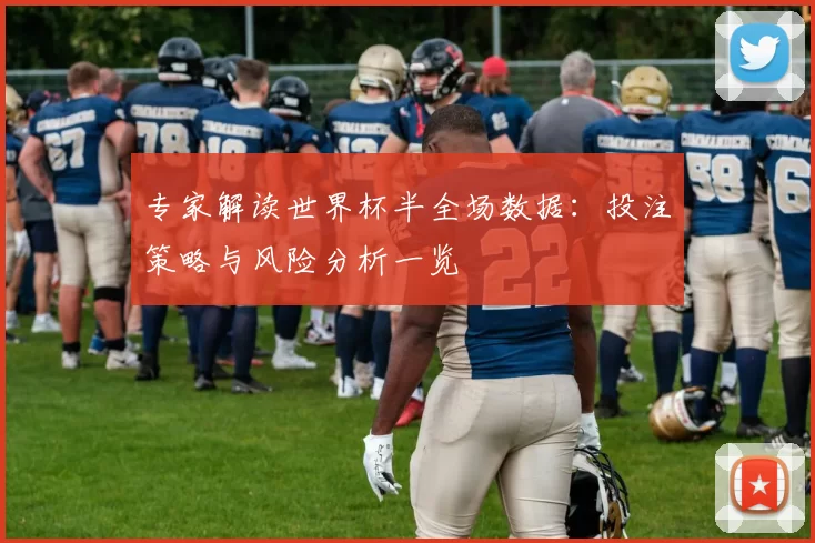 专家解读世界杯半全场数据:投注策略与风险分析一览