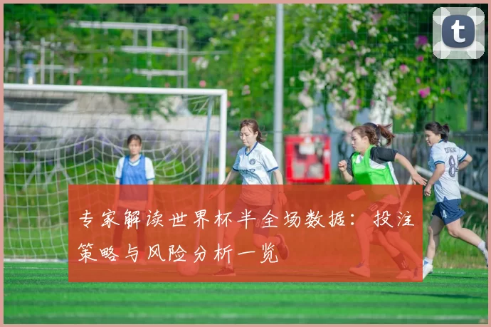 专家解读世界杯半全场数据:投注策略与风险分析一览