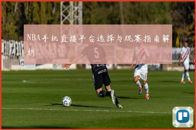 NBA手机直播平台选择与观赛指南解析