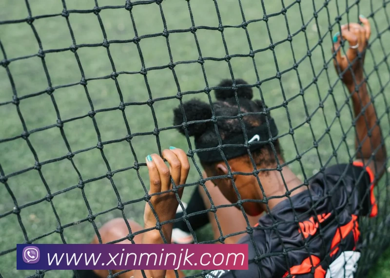 爱游戏APP 封面图